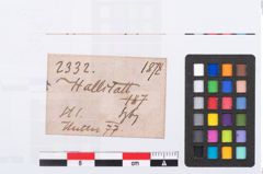 Etikett zu Zinnring (NHMW-PRAE-002332)